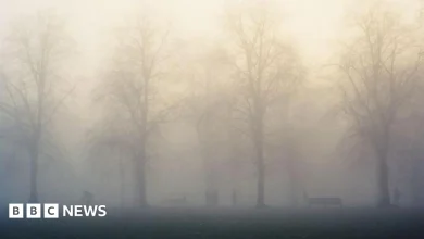 Weather warning issued for foggy conditions