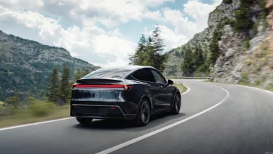 Wedbush’s Dan Ives sees ‘monster year’ ahead for Tesla amid AI push