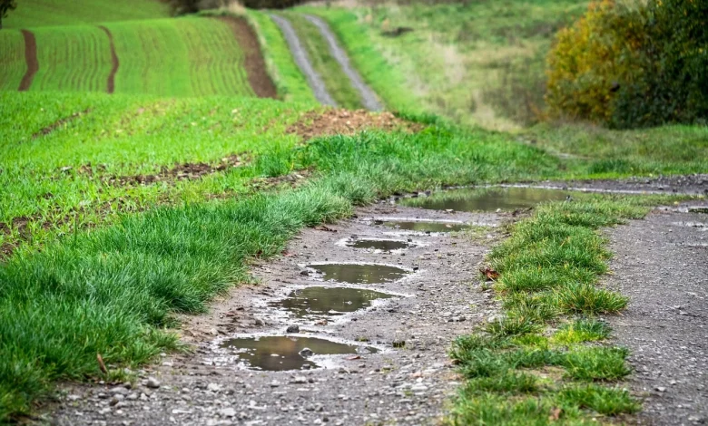 Weekend weather: Unsettled with showers and cooler temperatures
