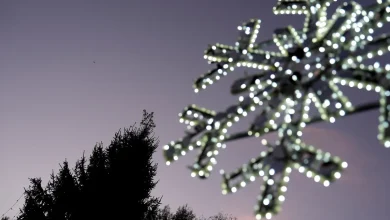 Weirdest Christmas music: The 10 weirdest songs of all time, ranked