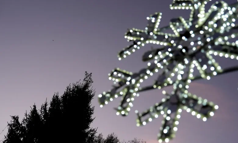 Weirdest Christmas music: The 10 weirdest songs of all time, ranked