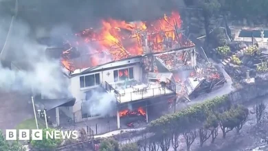 'We've lost everything': Australia wildfire rips through homes