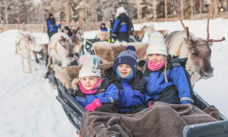 What a day trip to Lapland really looks like — 4am alarms and -21°C weather
