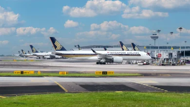 What are the busiest routes on the Singapore Airlines network?