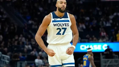 What happened to Rudy Gobert? Live injury updates for Timberwolves vs. Kings on Sunday 12/14/25