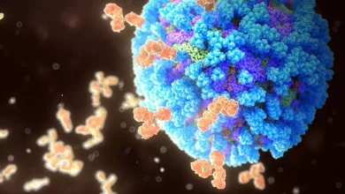 What you need to know about 'mutant' H3N2 virus driving flu wave