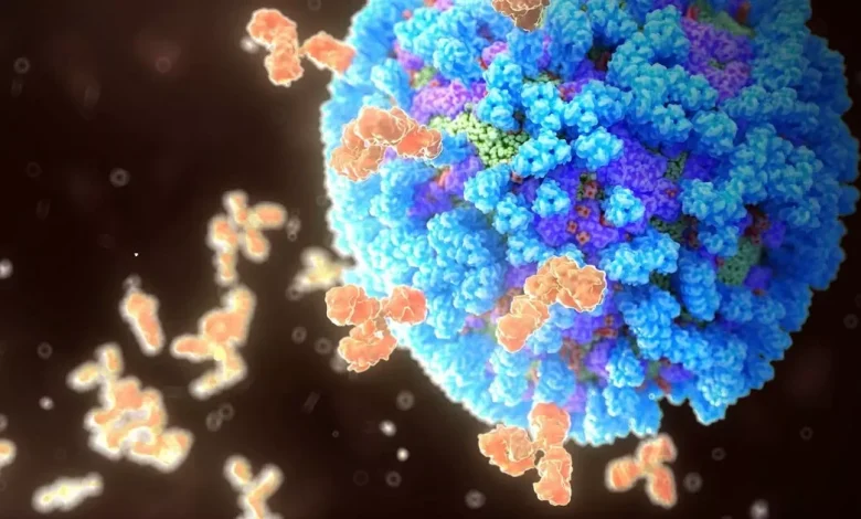 What you need to know about 'mutant' H3N2 virus driving flu wave