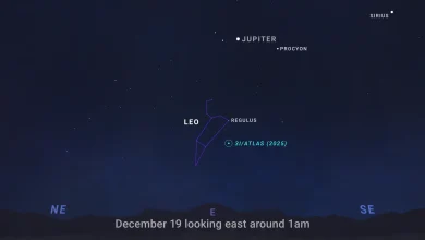 What’s Up: December 2025 Skywatching Tips from NASA