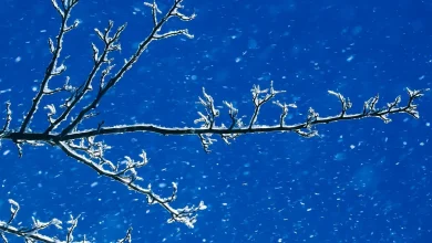 When does winter 2025 start? More on first day of season, winter solstice