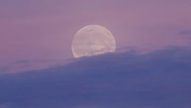 When to see the last supermoon of the year