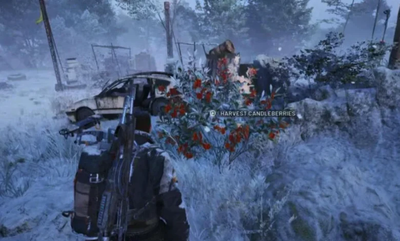 Where To Find Candleberries In Arc Raiders And All Flickering Flames Items