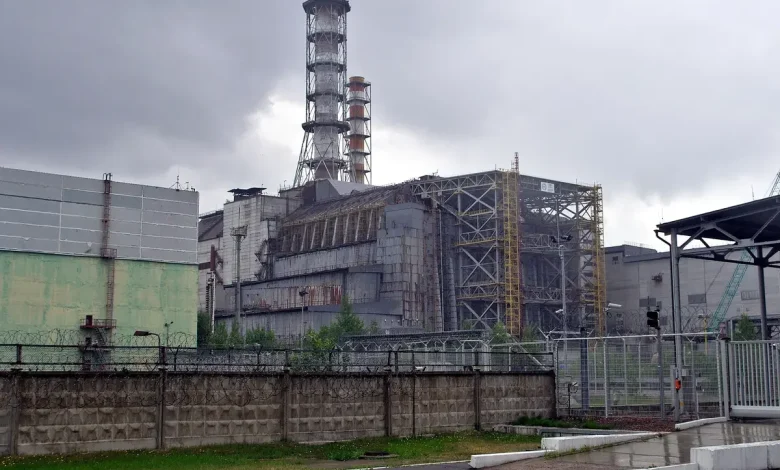 'Where humans die, fungus thrives': Something very strange is happening in Chernobyl