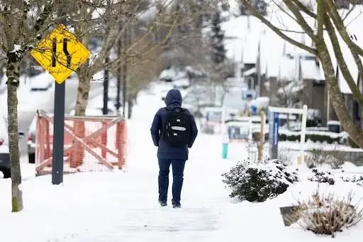 White Christmas not likely for Surrey, White Rock, Lower Mainland