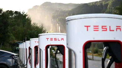 Why Don’t Norwegians Hate Tesla Like the Rest of Europe Does?