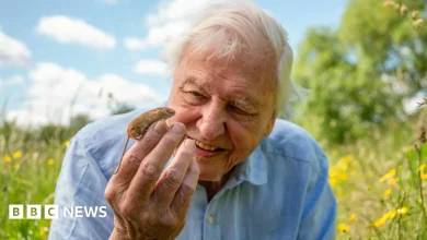 Why Sir David Attenborough wouldn't live anywhere else but London