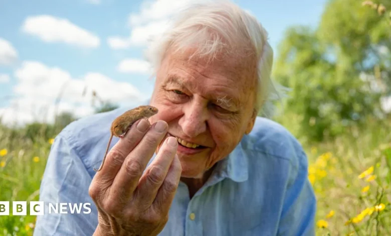 Why Sir David Attenborough wouldn't live anywhere else but London