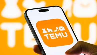 Why is Temu down and why are users reporting issues with the app?