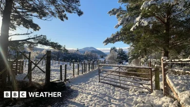 Widespread white Christmas unlikely but parts of the UK still have a chance