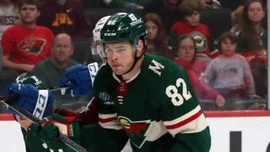 Wild place Daemon Hunt on injured reserve; David Spacek recalled