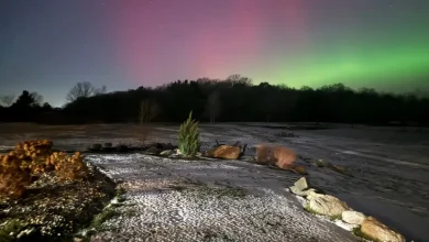 Will Indiana see the northern lights tonight, Dec. 8? It's possible