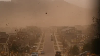 Winds tear across Front Range, causing widespread outages, closures