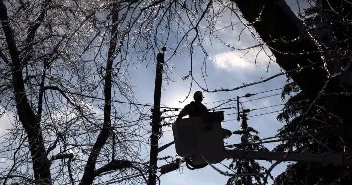 Windstorm leaves more than 90,000 BC Hydro customers without power
