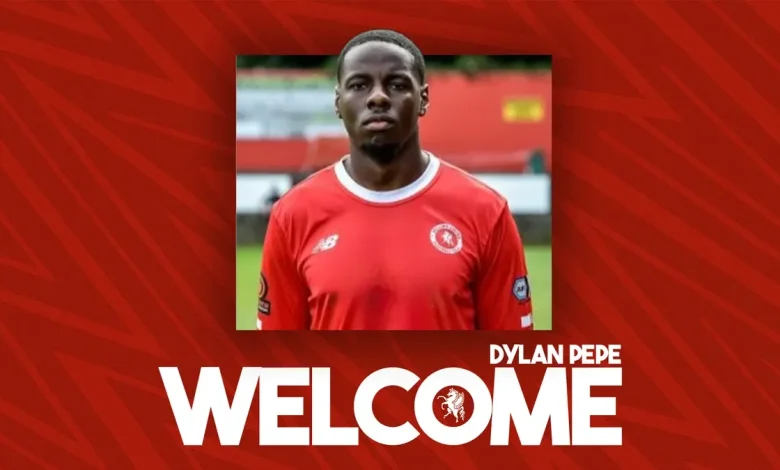 Wings sign defender Dylan Pepe