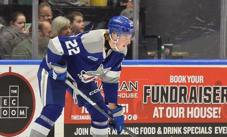 Winnipeg Jets Prospect Powers Sudbury's Impressive Weekend; Will He Be Traded?