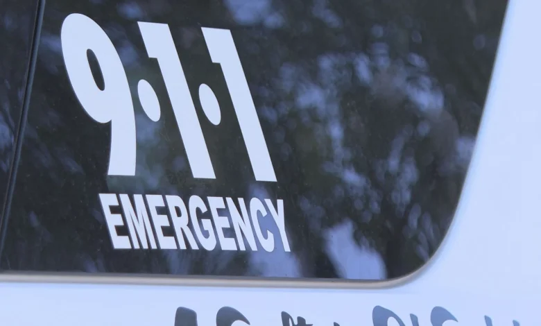 Winnipeg police looking for 2 men who allegedly attempted to abduct child walking to school