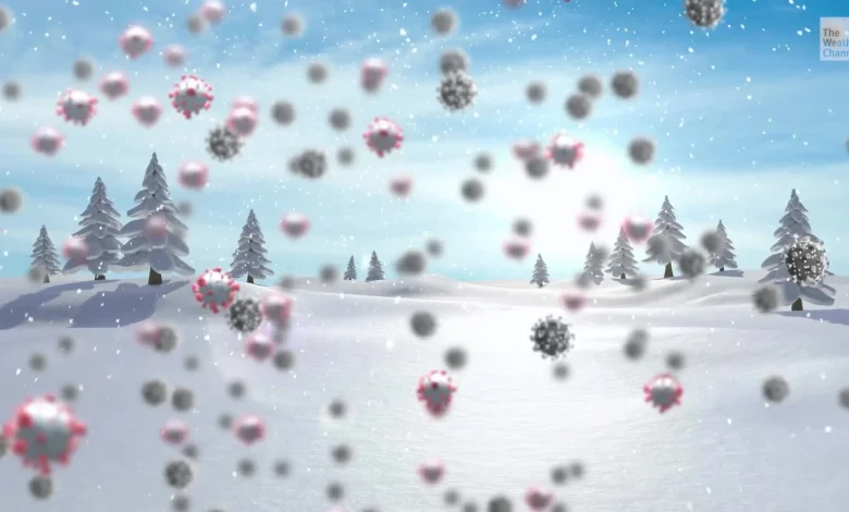 Winter Norovirus Numbers On The Rise Again