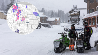 Winter Storm Warnings Issued for 7 States As 3 Feet of Snow To Hit