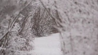 Winter storm watches issued in NY: See latest snow projections