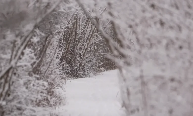 Winter storm watches issued in NY: See latest snow projections