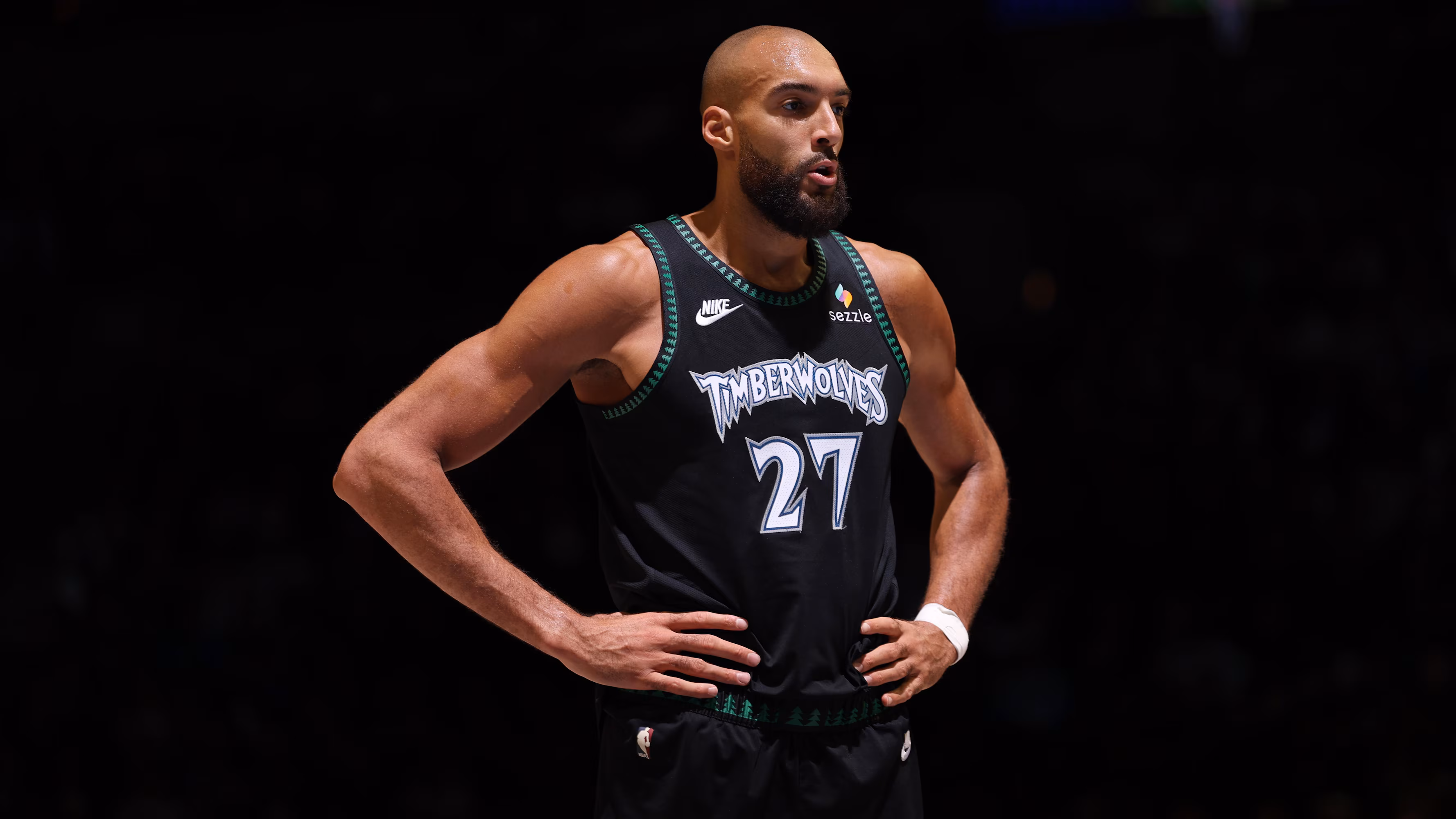 Wolves' Rudy Gobert Announces Birth of Daughter in Photo