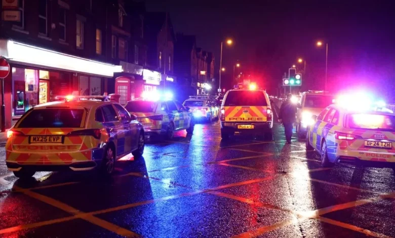 Woman, 81, dies in hit and run as driver hunted