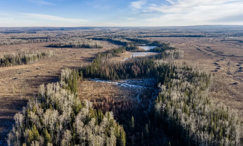 Wonder Valley data centre project in Alberta faces significant delays, raising concerns about future prospects