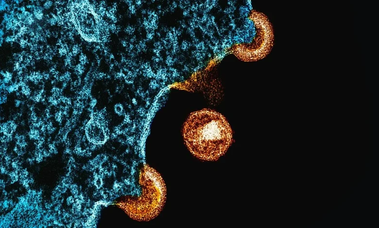 World AIDS Day: why HIV infections are still so hard to treat