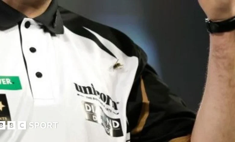 World Darts Championship 2026: Why are there so many wasps at Alexandra Palace?
