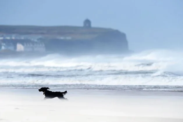 Yellow weather warning issued for NI with gusts of 60mph possible for coastal areas