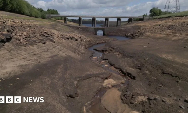Yorkshire Water hosepipe ban lifted following rainy November