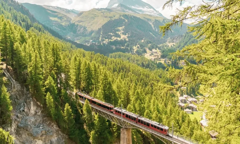 Your Full Access Pass to Black Friday Travel Deals: Top Deals to Book Now (2025)