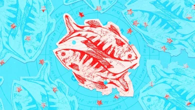 Your Sign's Weekly Horoscope For December 14 to December 20