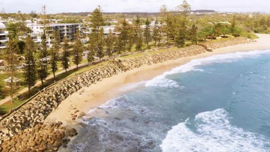 Your say: tree removal, erosion works and more