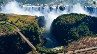 Zimbabwean Smyth abuse survivor speaks out in documentary