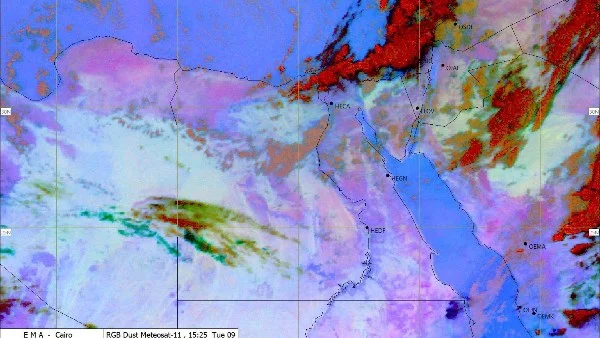 تحذير الأرصاد: شبورة مائية كثيفة تشمل القاهرة حتى ٩ صباحاً وفرص أمطار على السواحل