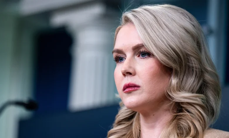 ​Mother of Karoline Leavitt's nephew released from ICE custody