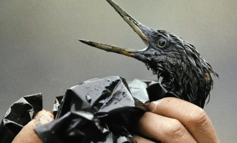 ‘Fool’s errand’: Why the Exxon Valdez looms large over northern pipeline debate