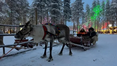 ‘I felt like a kid again!’ - Rolling back the years on Inverness-Lapland Christmas adventure