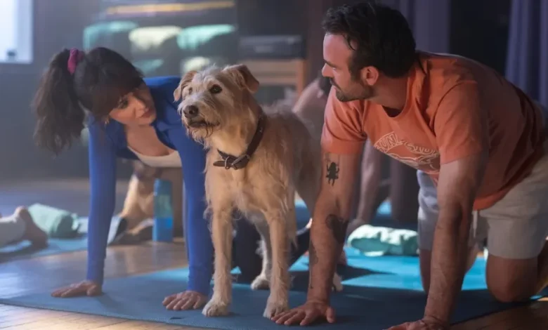 ‘Merv’ Review: Even an Adorable Terrier Performer Can’t Enliven Prime Video’s Wooden Rom-Com