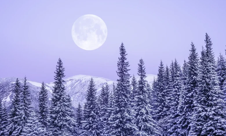 ‘Strap In for a Wild Ride!’ Your December Full Moon Horoscope Promises Major Relationship Shifts Today